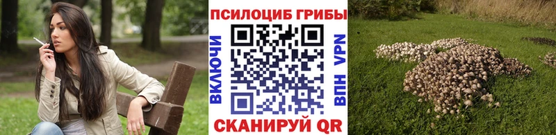 Псилоцибиновые грибы прущие грибы  Асино 
